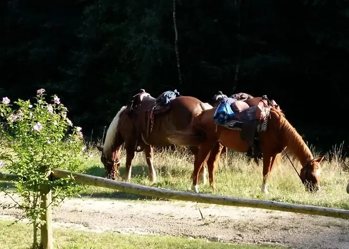 Scherhaeuflranch Moenchdorf