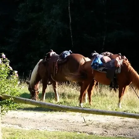 Scherhaeuflranch Moenchdorf