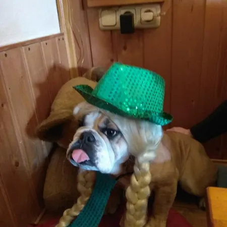 Scherhaeuflranch Alojamento de Acomodação e Pequeno-almoço *