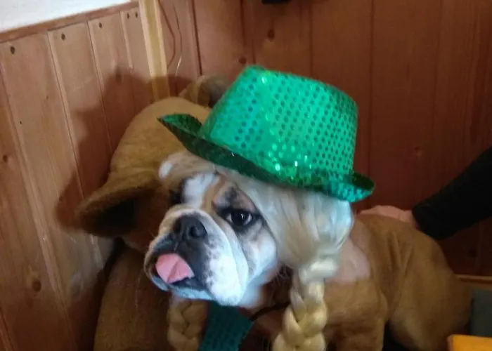 Scherhaeuflranch Bed & Breakfast *